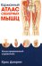 Карманный атлас скелетных мышц: Иллюстрированный справочник