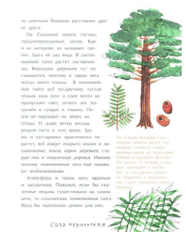 Сахалин. Самый большой остров в России. Вып. 249. 2-е изд