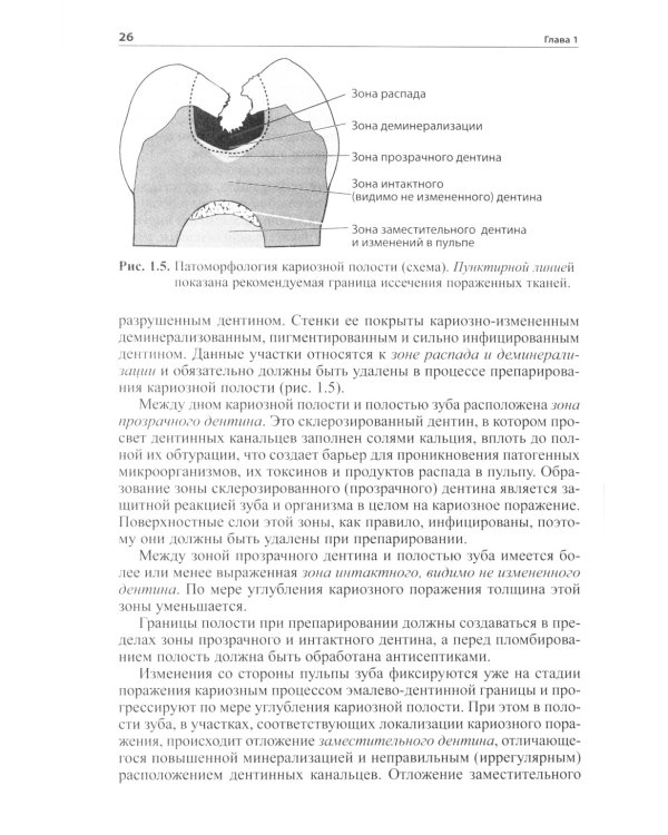 Практическая терапевтическая стоматология: Учебное пособие. 13-е изд