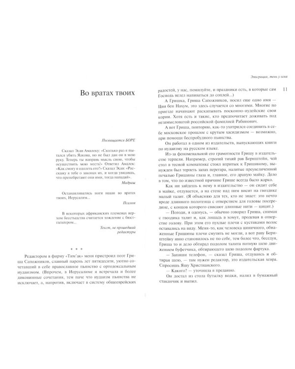 Дополнительное изображение книги «Эмиграция, тень у огня»