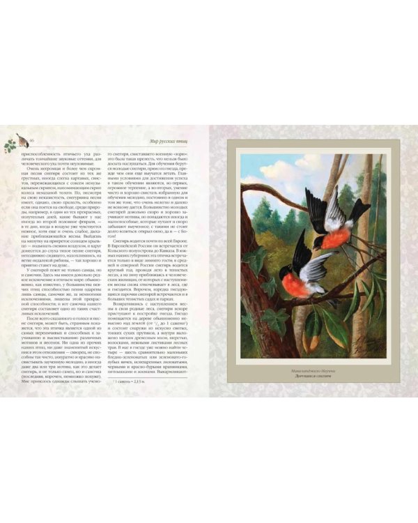Дополнительное изображение книги «Мир русских птиц. Пернатое царство»