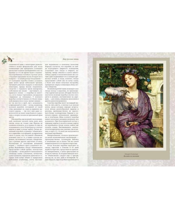 Дополнительное изображение книги «Мир русских птиц. Пернатое царство»