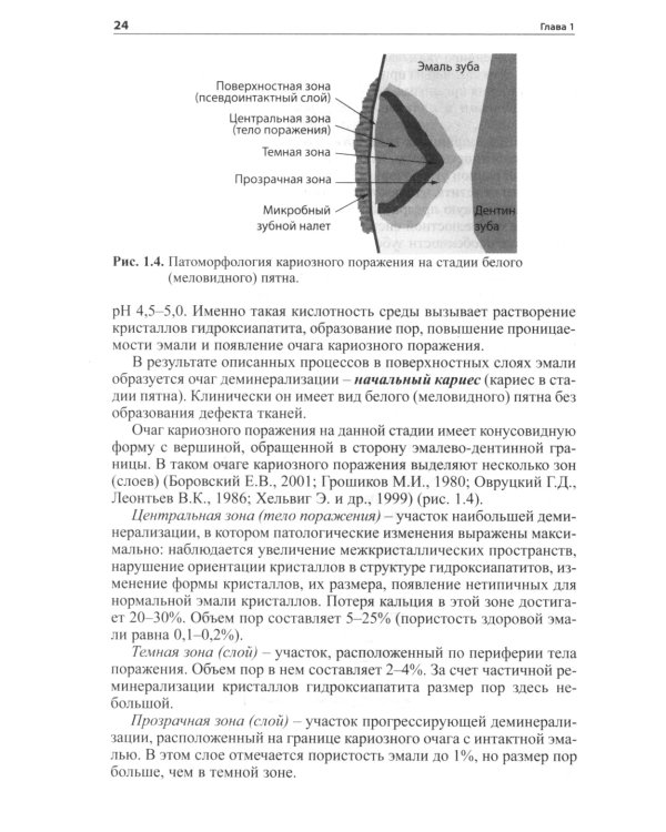 Практическая терапевтическая стоматология: Учебное пособие. 13-е изд
