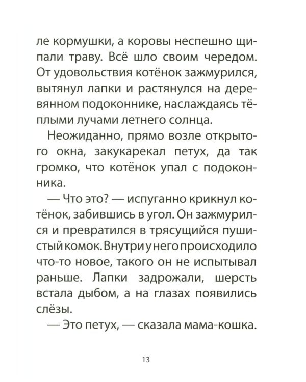 Дополнительное изображение книги «Книга для детей по психосоматике. Чувства, эмоции. Котенок по имени Рада»
