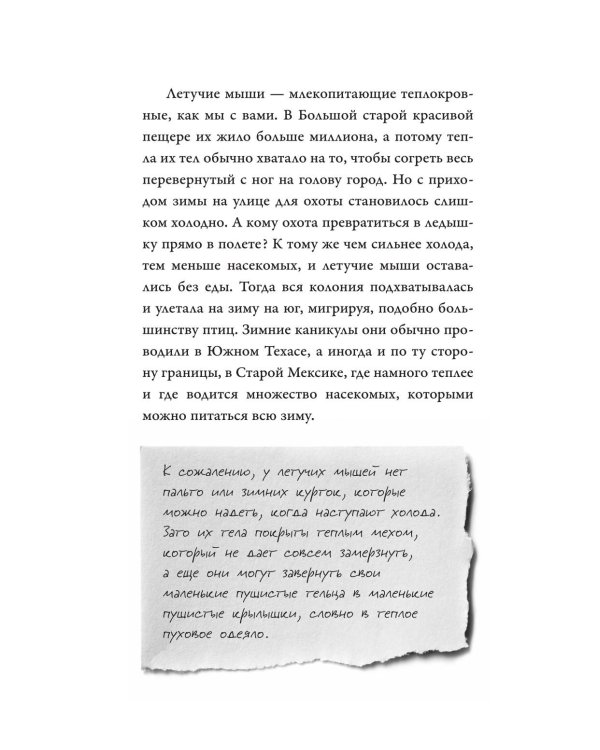 Песни летучих мышей