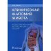 Клиническая анатомия живота. Иллюстрированный авторский цикл лекций Клиническая анатомия живота. Иллюстрированный авторский цикл лекций
