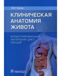 Клиническая анатомия живота. Иллюстрированный авторский цикл лекций