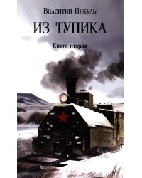 Из тупика: Кн. 2