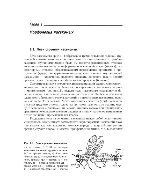 Курс общей энтомологии: Учебник