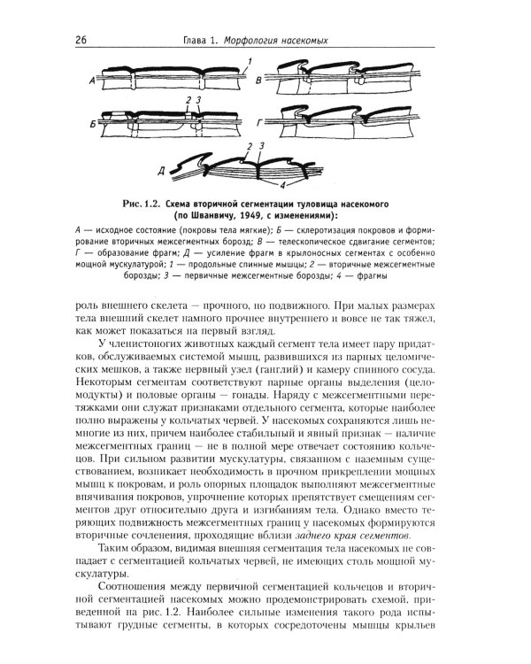 Курс общей энтомологии: Учебник