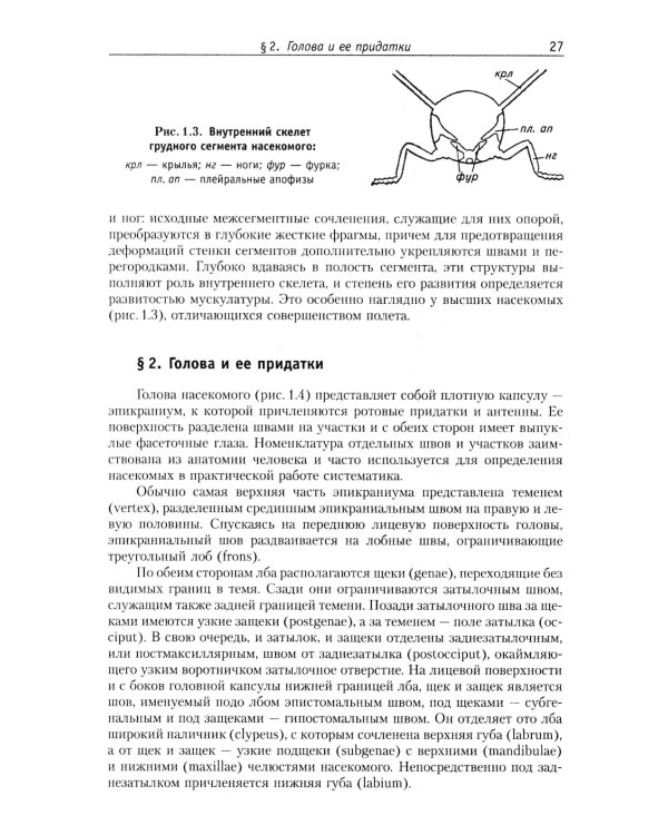 Курс общей энтомологии: Учебник