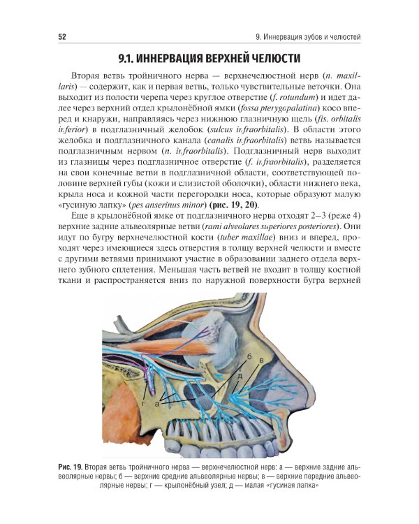 Местное обезболивание в стоматологии: Учебное пособие. 2-е изд., испр. и доп