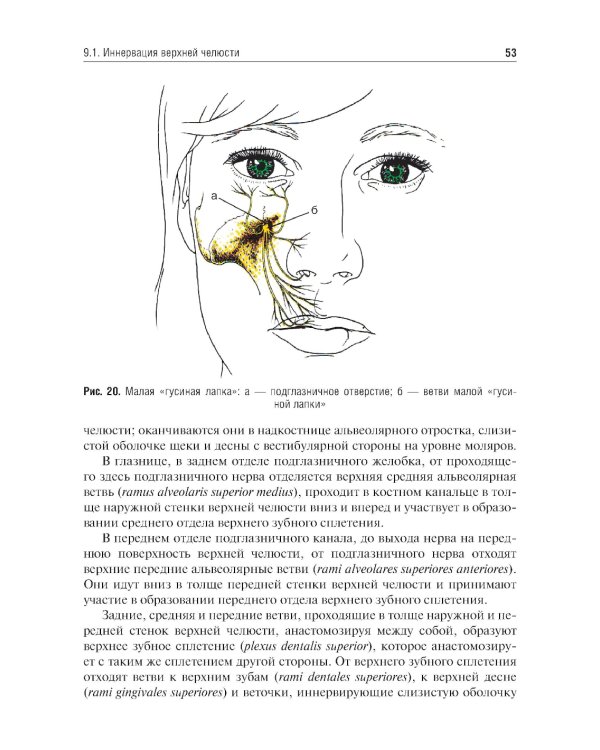 Местное обезболивание в стоматологии: Учебное пособие. 2-е изд., испр. и доп