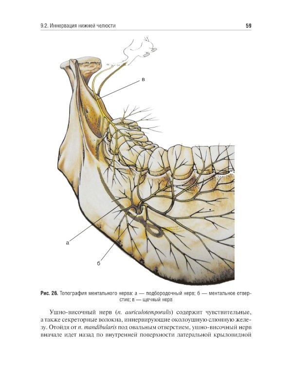 Местное обезболивание в стоматологии: Учебное пособие. 2-е изд., испр. и доп