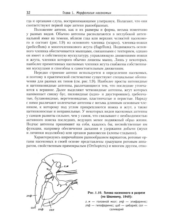 Курс общей энтомологии: Учебник