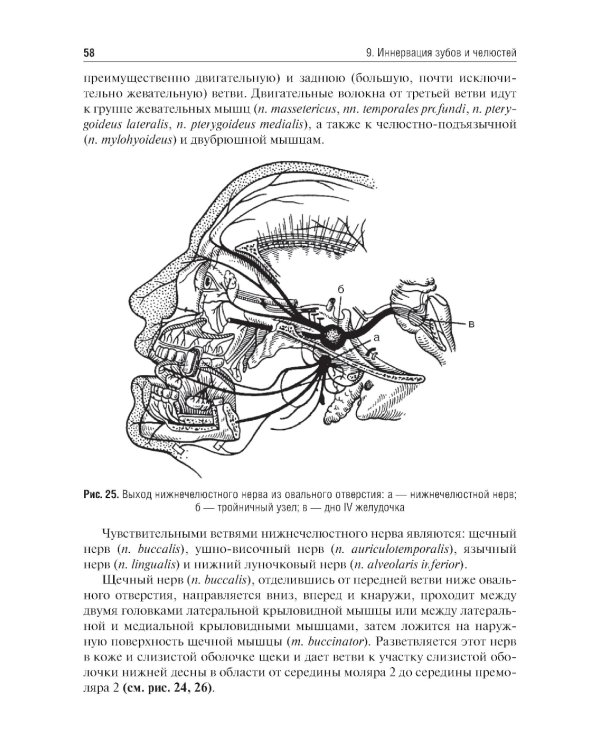 Местное обезболивание в стоматологии: Учебное пособие. 2-е изд., испр. и доп