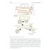 Эндокринология. Учебник. 3-е изд., перераб.и доп Эндокринология. Учебник. 3-е изд., перераб.и доп