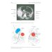 Эндокринология. Учебник. 3-е изд., перераб.и доп Эндокринология. Учебник. 3-е изд., перераб.и доп