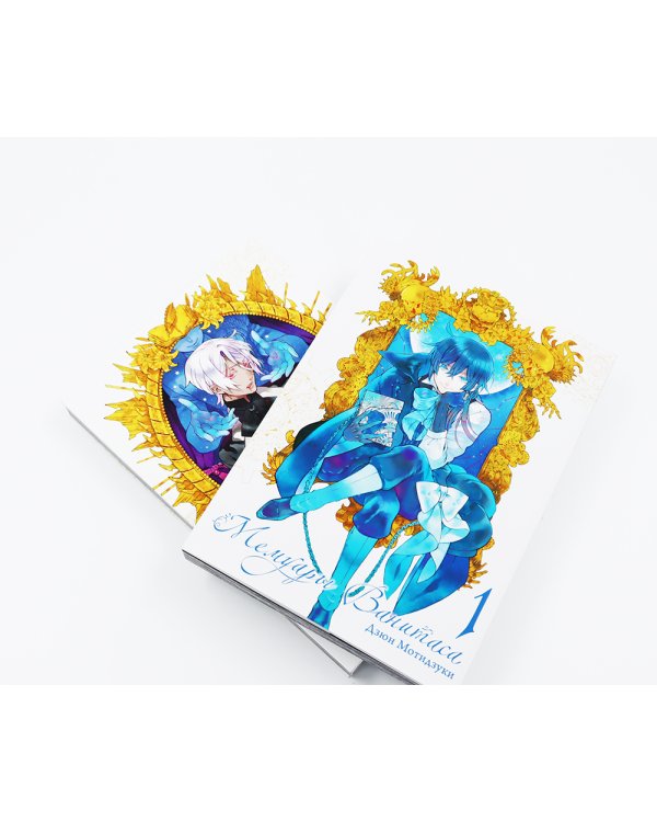 Мемуары Ванитаса: Т. 1-11 (комплект из 11-ти книг)