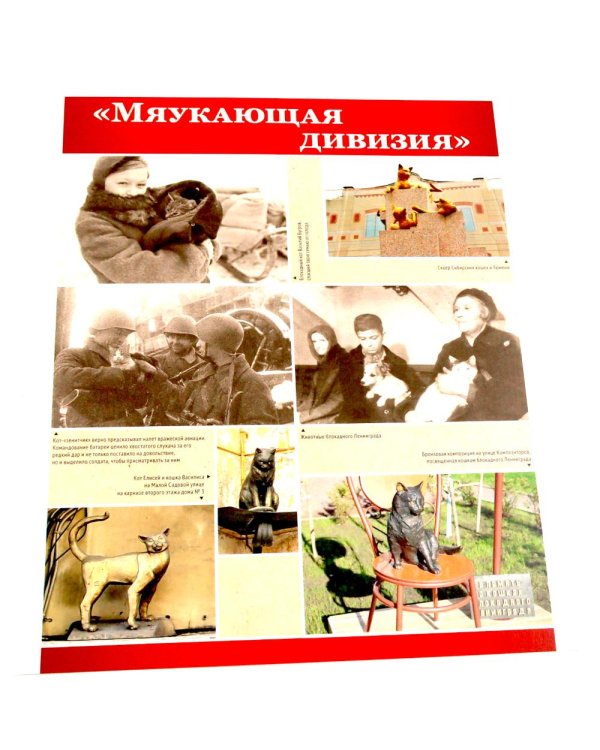 Великая Победа. Блокада Ленинграда.12 демонстрационных картинок рассказом на обороте В ПАПКЕ