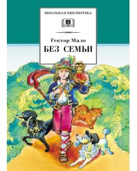 Без семьи: роман