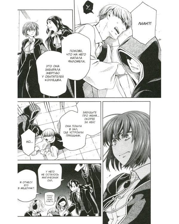 Невеста чародея. Т. 17