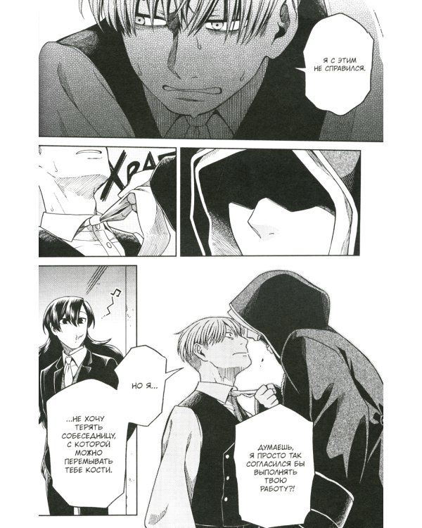 Невеста чародея. Т. 17