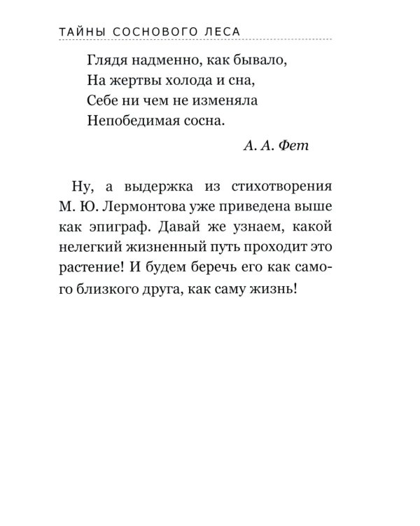 Тайны соснового леса
