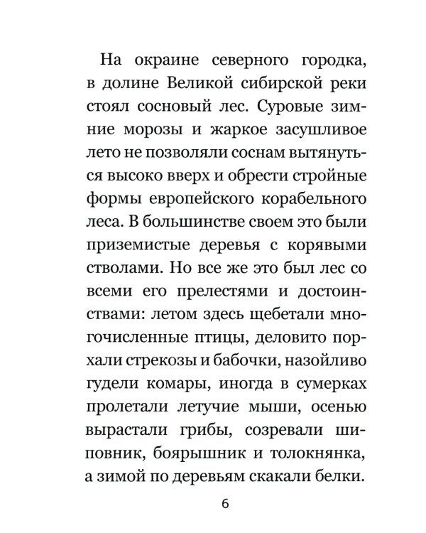 Тайны соснового леса