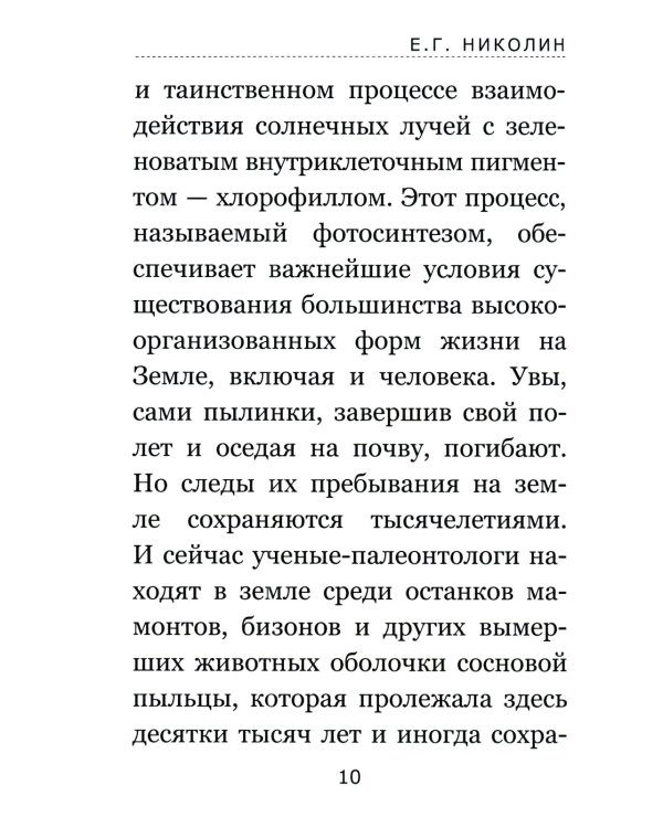 Тайны соснового леса