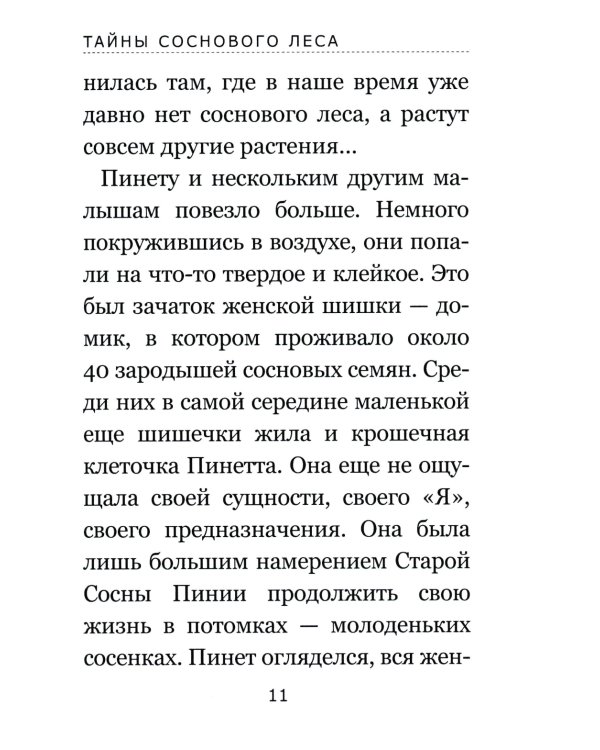 Тайны соснового леса