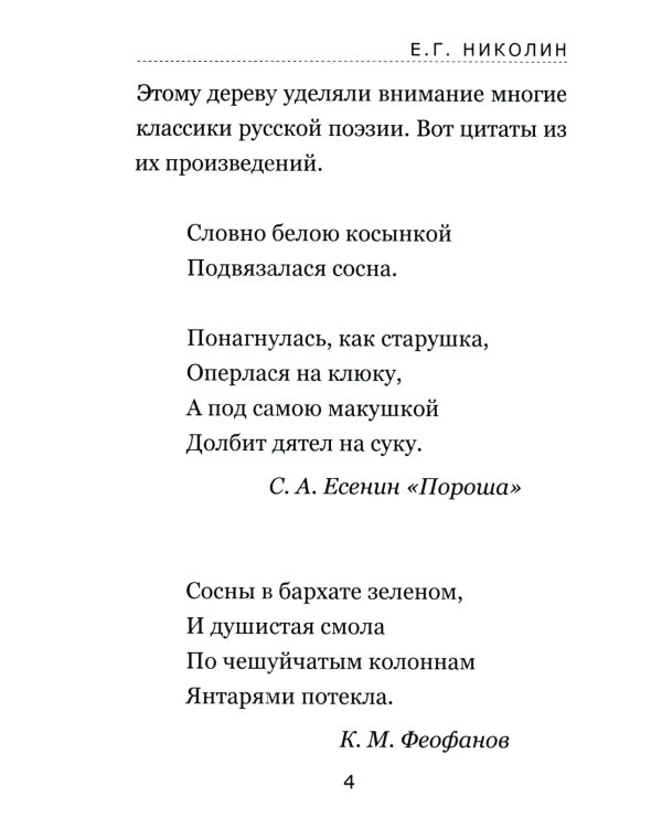 Тайны соснового леса