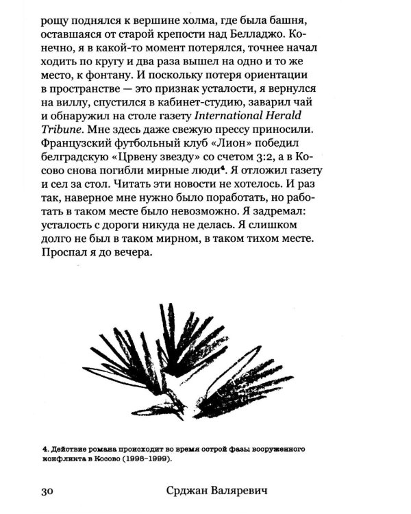 Валяревич Комо: роман