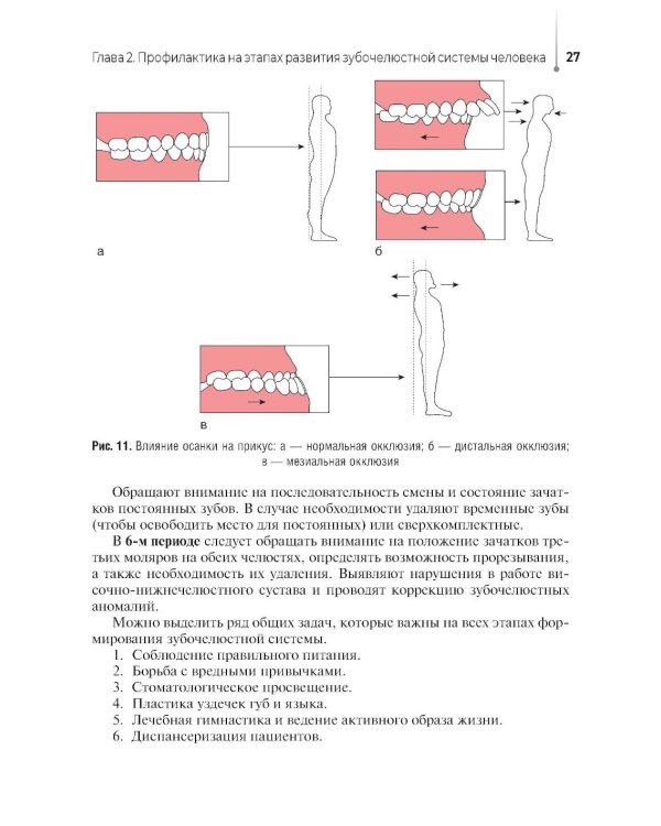 Диагностика и профилактика стоматологических заболеваний при первичной доврачебной медико-санитарной помощи: Учебник