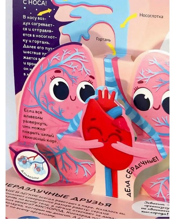 Почемучка: набор из 6 кн