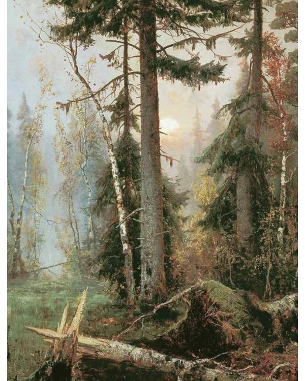 Дополнительное изображение книги «Русский лес. Грибы и ягоды»