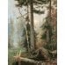 Дополнительное изображение книги «Русский лес. Грибы и ягоды»