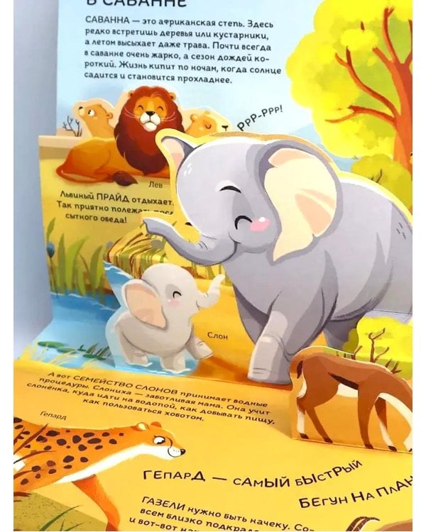 Почемучка: набор из 6 кн