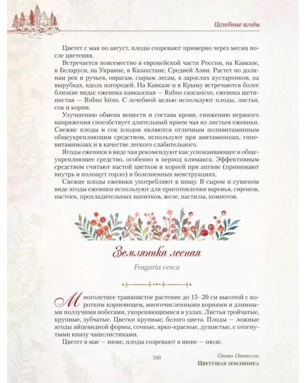 Дополнительное изображение книги «Русский лес. Грибы и ягоды»
