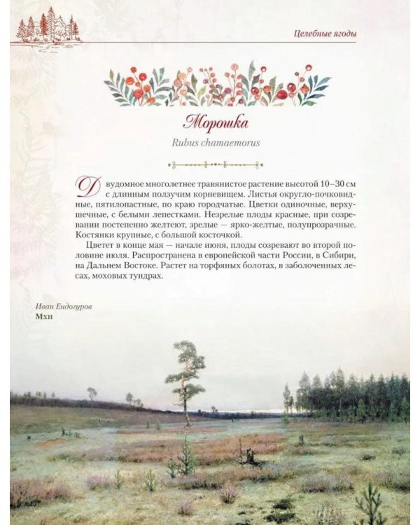 Дополнительное изображение книги «Русский лес. Грибы и ягоды»