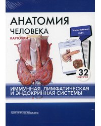 Анатомия человека: карточки. (32 шт). Иммунная, лимфатическая и эндокринная системы