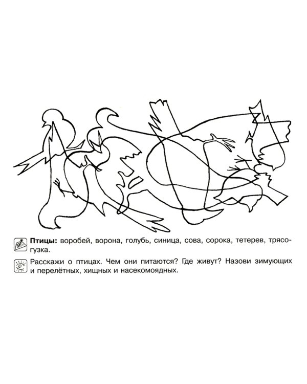 Все, что должен знать дошкольник при поступлении в первый клас. Рабочая тетрадь для развития внимательности и речи.