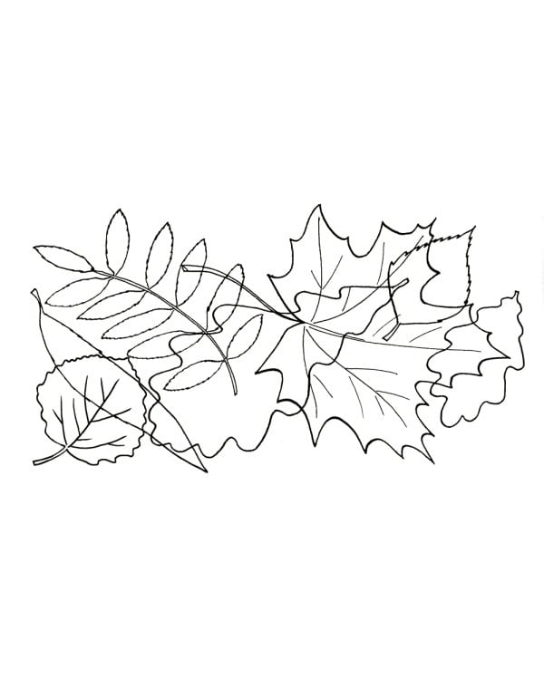 Все, что должен знать дошкольник при поступлении в первый клас. Рабочая тетрадь для развития внимательности и речи.