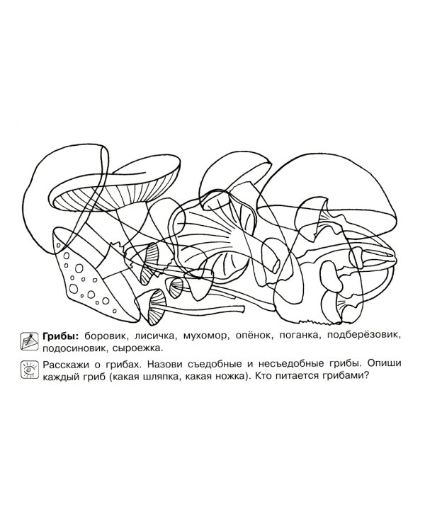 Все, что должен знать дошкольник при поступлении в первый клас. Рабочая тетрадь для развития внимательности и речи.