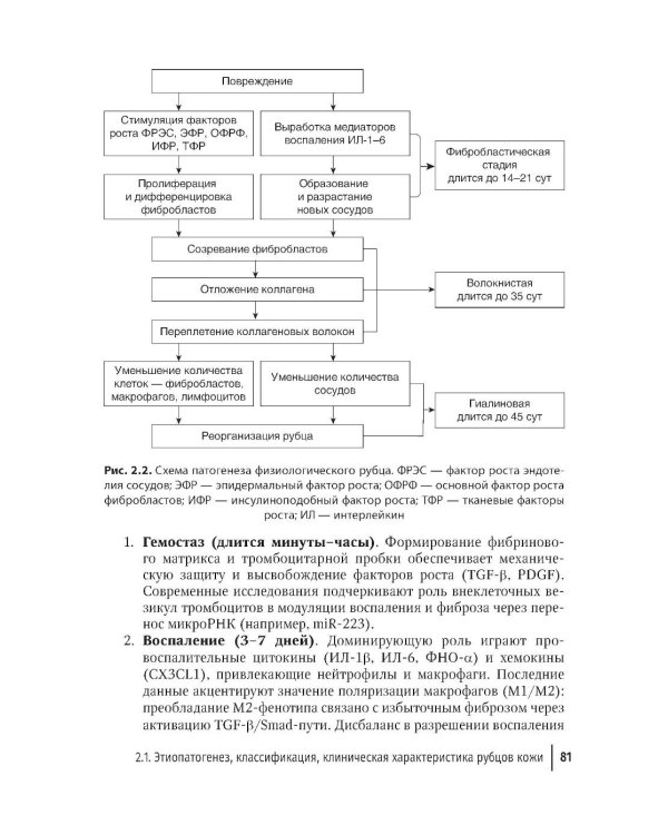 Дерматокосметология: руководство для врачей
