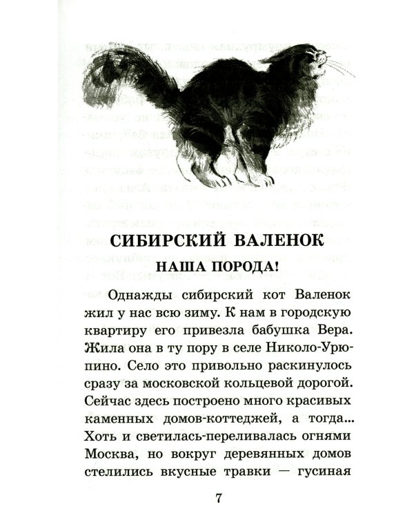 Сибирский Валенок. Рассказы