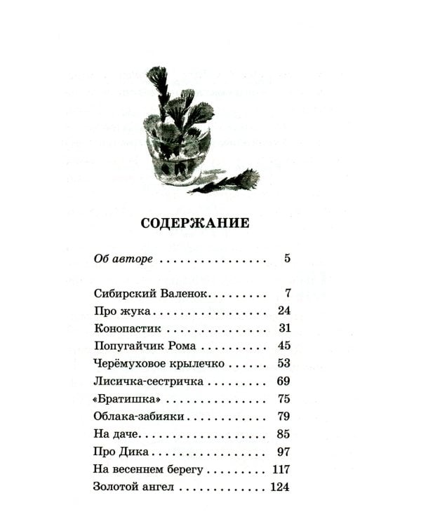 Сибирский Валенок. Рассказы