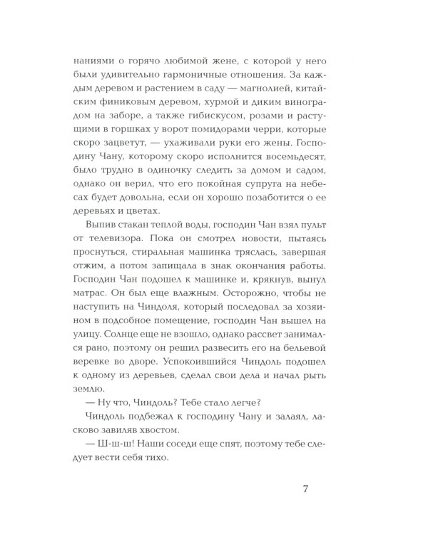 Прачечная, стирающая печали: роман