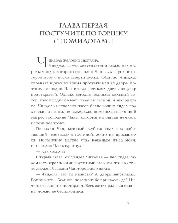 Прачечная, стирающая печали: роман