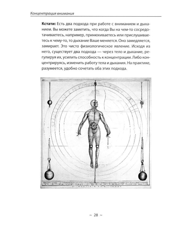 Дополнительное изображение книги «Путь к творческому мышлению. Базовые приемы работы с образами и воображением»